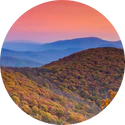 Pigeon Forge, TN