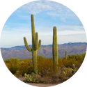 Scottsdale, AZ